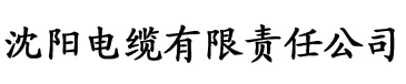 蜂鸟网站大片电缆厂logo